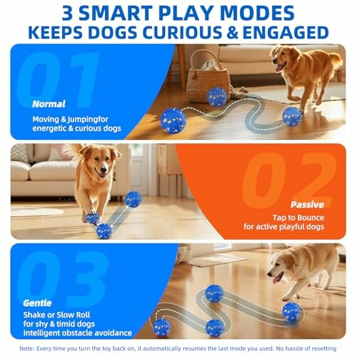Drei Spielmodi für Hundespielzeug: Normal, Passiv, Sanft