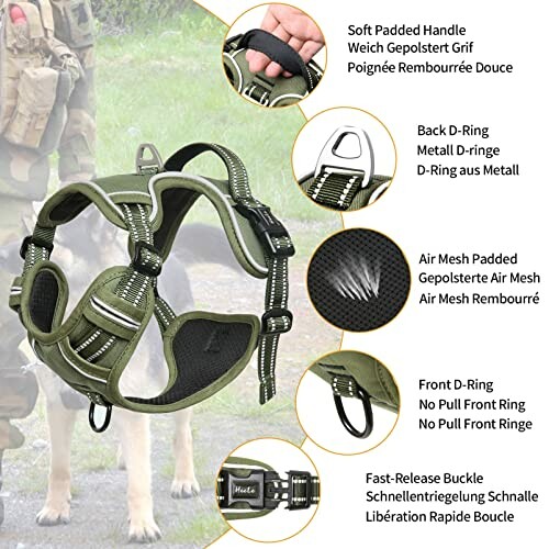 Taktisches Hundegeschirr mit gepolstertem Griff und D-Ring.