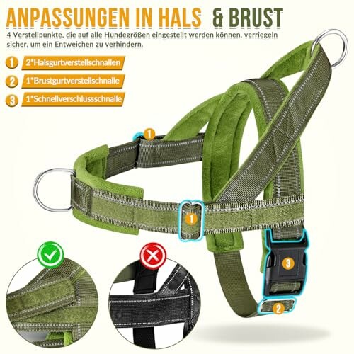 Grünes, verstellbares Hundegeschirr mit Schnallen.