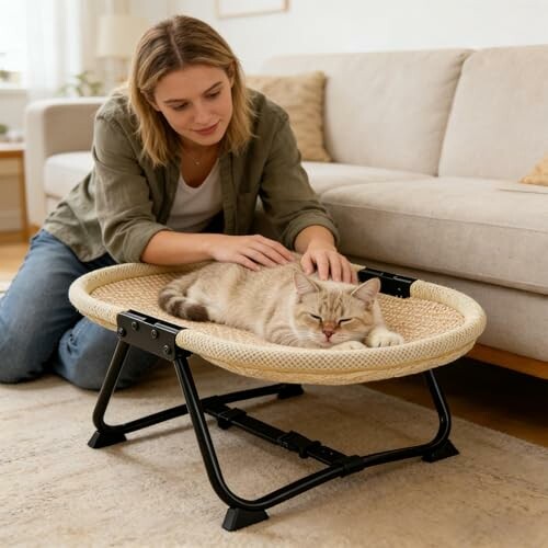 Frau streichelt schlafende Katze in einem Korb auf dem Boden.